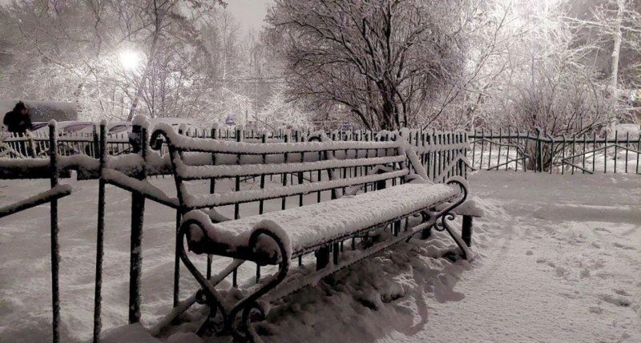 До -20 градусов: Курскую область накроют экстремальные морозы до конца недели