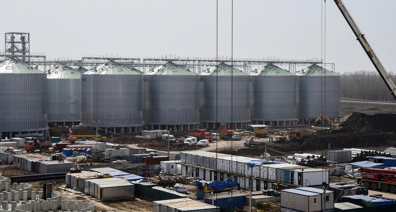 Масличный гигант: к 2026 году в Курской области запустят третий завод по переработке сои и подсолнечника