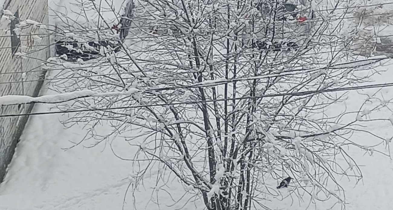 Авария на ЛЭП оставила весь 13-й микрорайон Железногорска без света в разгар непогоды