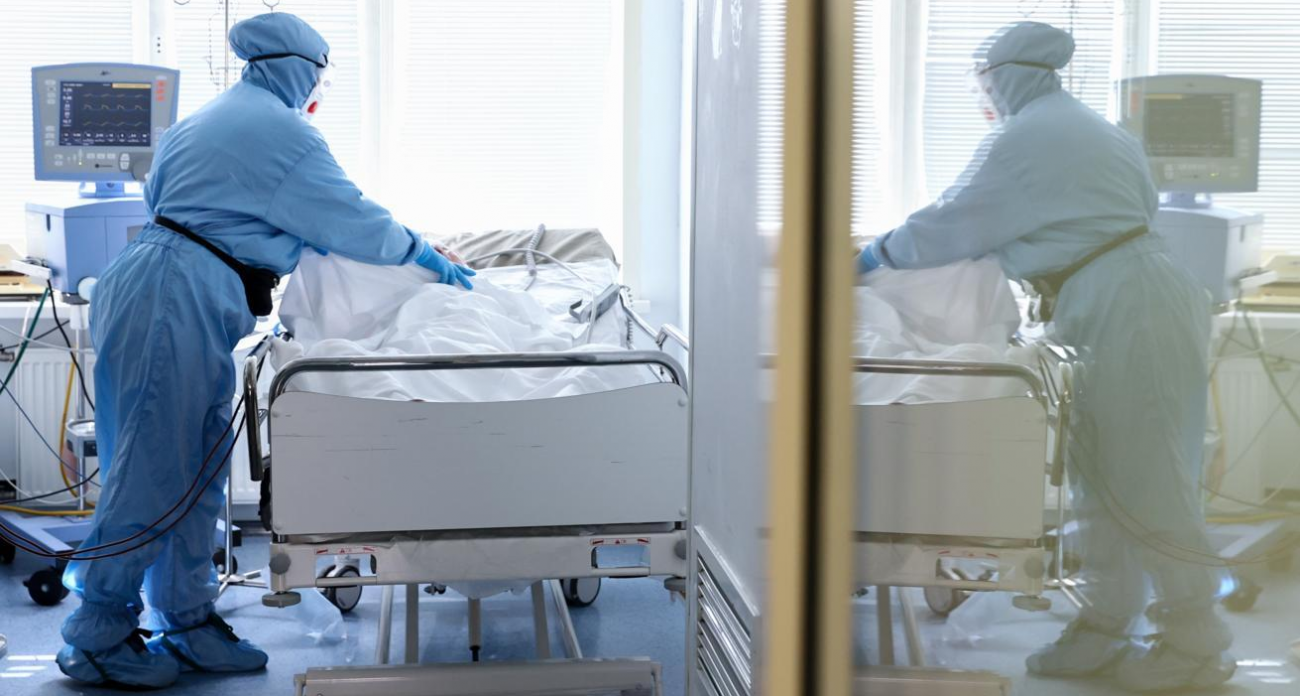 «Боль заставляет плакать и лежать скрюченными»: что известно о лихорадке чикунгунья с мучительными симптомами