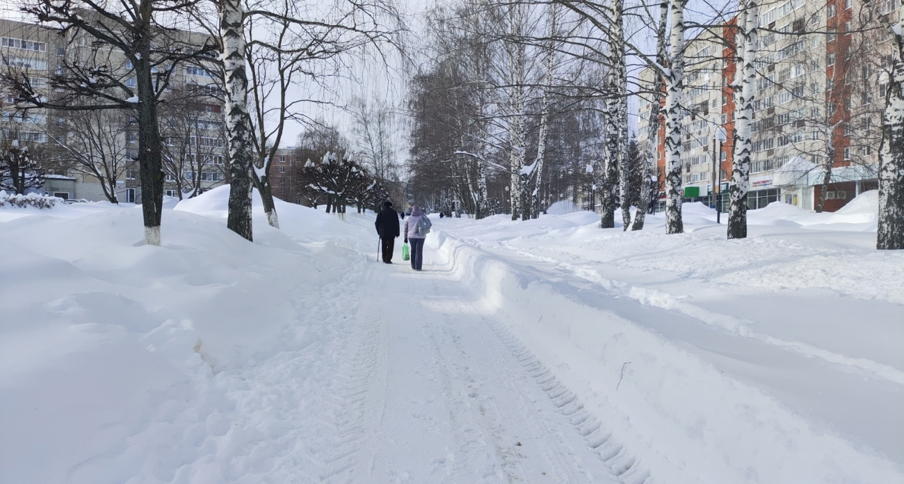 Водителей просят пересесть на автобусы: Гидрометцентр объявил о рекордных снегопадах в Центральной России 
