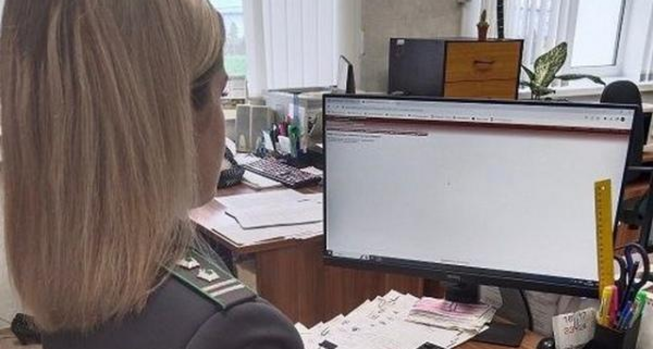 Опасная находка: 13 тысяч тонн кукурузы с Т-2 токсином задержали в Курской области