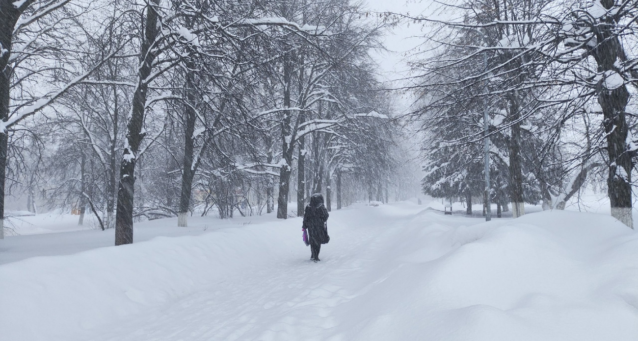 Зима не собирается отступать: циклон "Вивиан" добрался до Москвы, убирать снег будем всю неделю