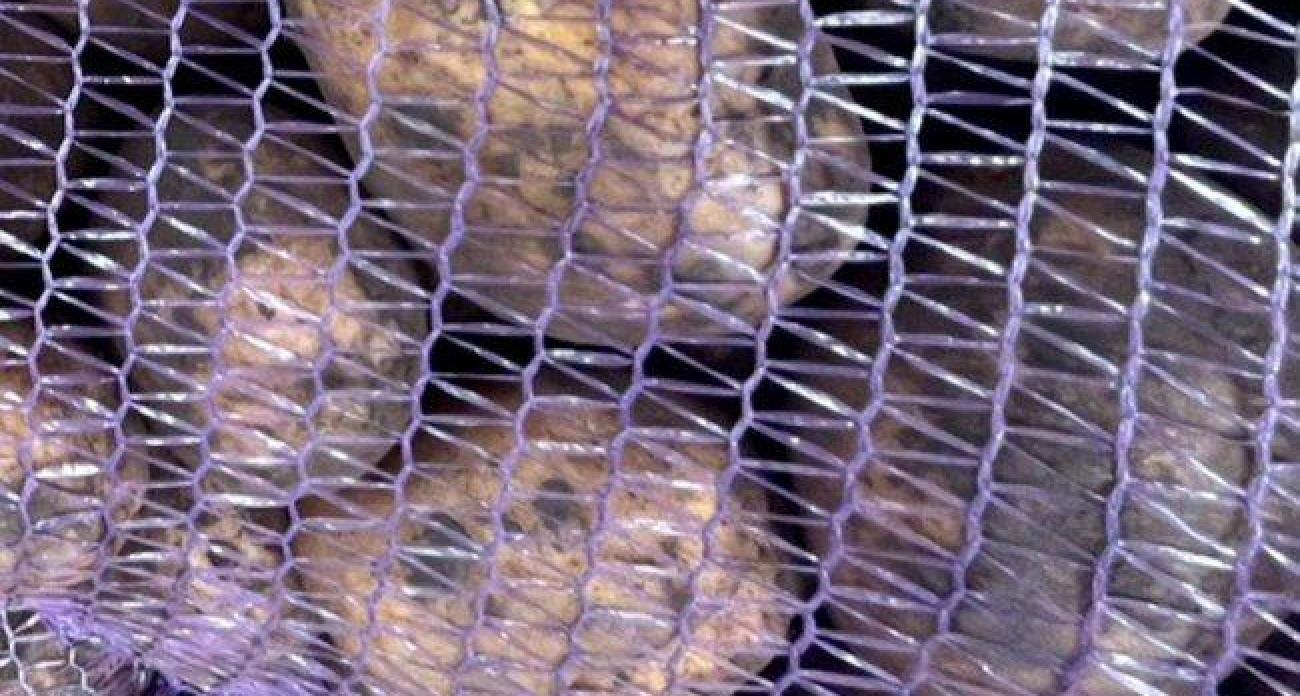 Шестидневная ярмарка у «МегаГРИНН» откроется 2 марта