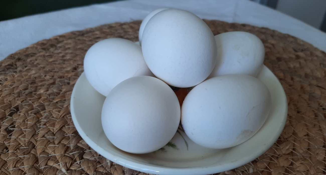 Без мяса, молока и яиц, но с полным холодильником: шпаргалка для поста, которая спасет от голода