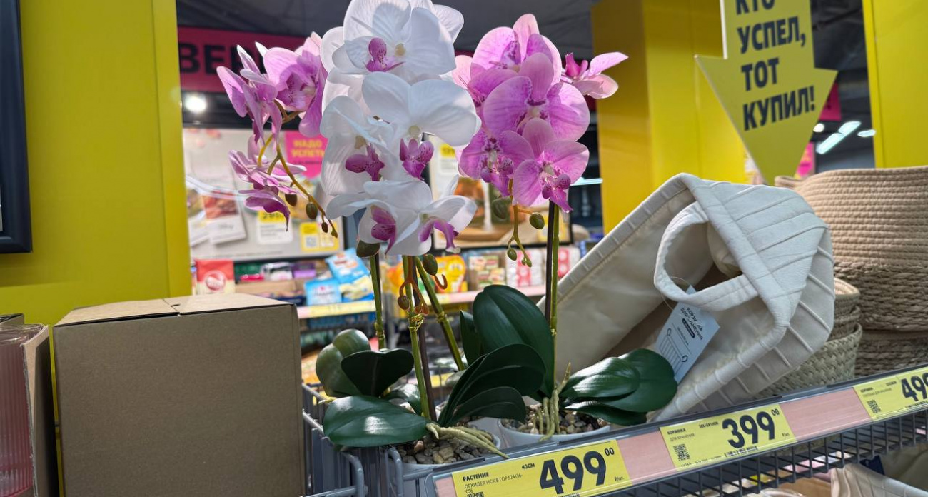 Fix Price удивляет: новинки весны 2026, которые выглядят богато — смотрите, что появилось в магазинах