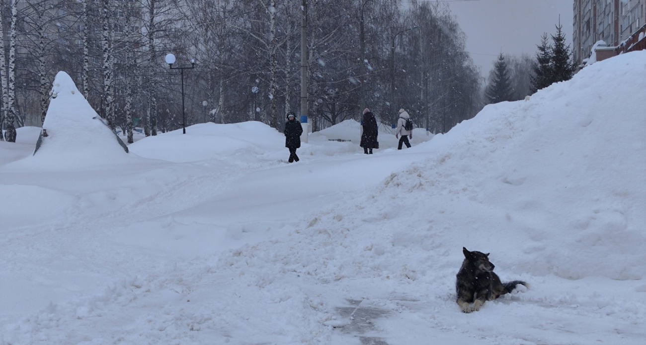 Сначала плюс десять, а потом минус: синоптики огласили шокирующий прогноз на первую неделю марта — погода сведет с ума