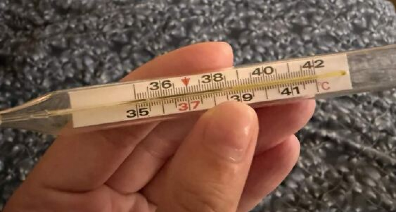 Дошкольники и школьники массово заболевают в Курской области