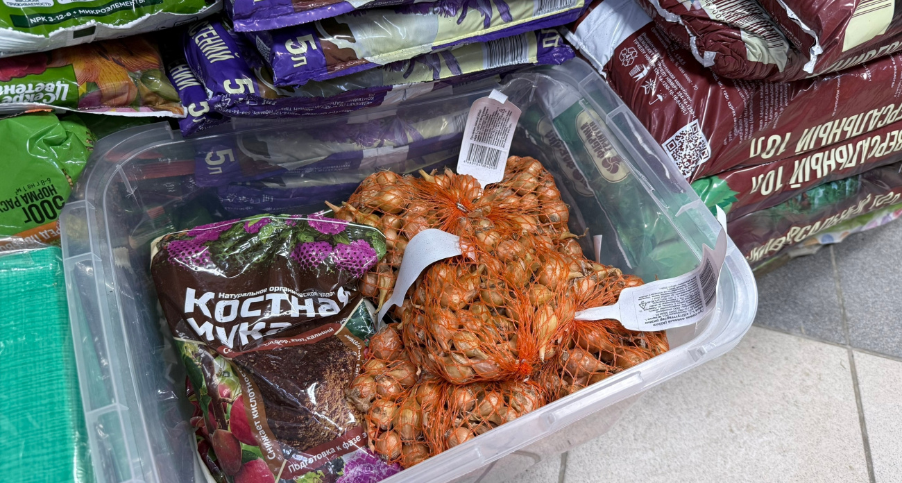 Лук-севок по 101 рублю за кило и грунт 70 литров: «Светофор» открыл сезон для дачников — что почем и стоит ли брать