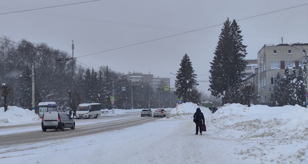 Зима возвращается с козырей: в понедельник Москву ждет арктический удар — температура упадет ниже январской нормы