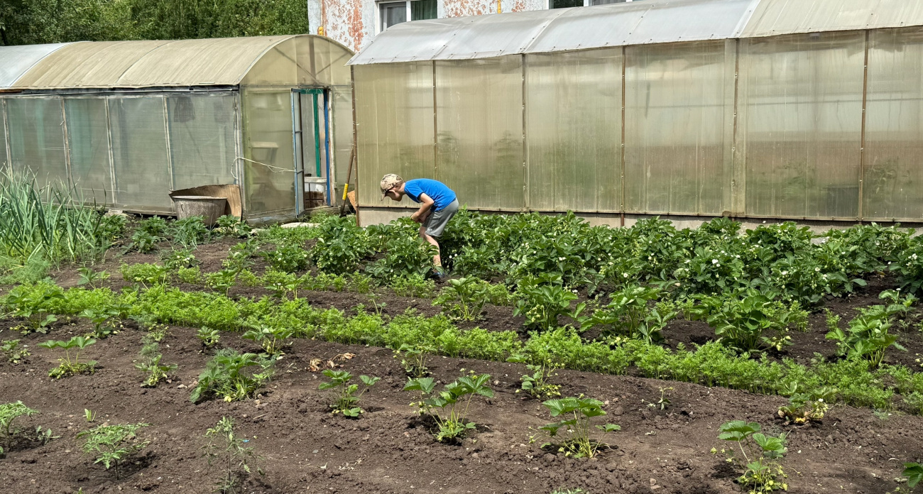 Посчитал, во сколько обходится «бесплатная» картошка с дачи, и ужаснулся: продал участок родителей — теперь сплю спокойно