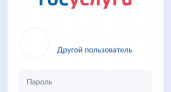Госуслуги запустили новые сервисы для помощи жителям Курской области