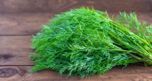 Ароматная зелень больше не замораживаю и не сушу на зиму: делаю из укропа, петрушки и чеснока пряную приправу, хранится годами