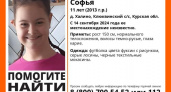 В Курской области продолжаются поиски пропавшей 11-летней девочки Софьи Колесниченко