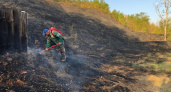 В Горшеченском и Солнцевском лесничествах успешно предотвратили лесные пожары