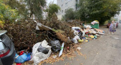 Курск: Жители улицы Аэродромной два месяца страдают от огромной свалки