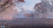 Пожарные локализовали торфяной пожар в Курском районе