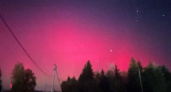 Полярное сияние наблюдали в Курской области