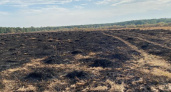 Запах гари в Курске связали с тушением травы в районе