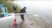 В Михайловское водохранилище выпущено более тысячи мальков сазана