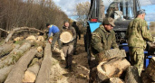 Куряне заготовили более 100 кубометров дров для военных