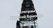 В Курске начали устанавливать новогодние елки