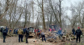 Курские волонтеры заготовили дрова для военных во время уборки парка