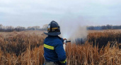 В Курской области зимой горит сухая трава