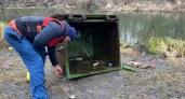 В Курске достали затонувший мусорный контейнер из реки Сейм