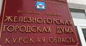 Железногорский депутат лишился мандата из-за несвоевременной подачи декларации