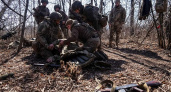 ВСУ потеряли более 220 военных и технику на курском направлении за сутки
