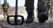 В Курской области разминировано 19 тысяч гектаров земли