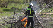 За неделю в Курской области произошло около 100 пожаров из-за горящей травы