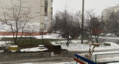 Заморозки и мокрый снег ожидаются в Курской области