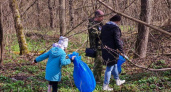 В Поповском лесу Курска пройдут майские субботники