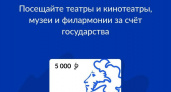 Куряне потратили 2 миллиона рублей на Пушкинскую карту за 4 месяца