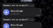 Жители Железногорска потеряли деньги, открыв фейковые фото в мессенджерах