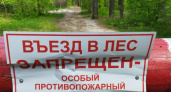 В Курской области введут особый противопожарный режим