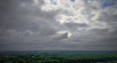 Дожди с грозами ожидаются в Курской области 21 июня