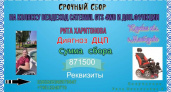 Жительнице Мантурово с ДЦП нужна помощь в покупке коляски-вездехода