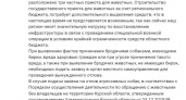 После трёх нападений собак на людей в Курске власти отказались от строительства приюта