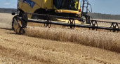 Курские фермеры намолотили первый миллион тонн зерна при рекордных темпах уборки 30 тысяч га в сутки