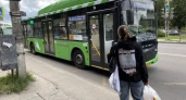 Курск: главные новости за 28 августа - переименование остановок и собака нашла новую семью на выставке