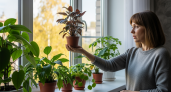 Комнатные растения-убийцы: проверьте, есть ли у вас дома эти 10 ядовитых цветов, которые тайно отравляют воздух и могут довести до реанимации