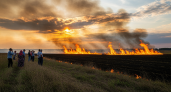 16 из 17 пожаров в Курской области за сутки: траву жгут несмотря на штрафы до 800 тысяч