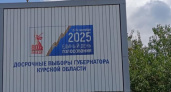 Хинштейн победил на выборах в Курской области без конкуренции - соперники даже не агитировали