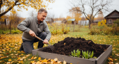 Почему опытные дачники тайно добавляют в компост то, что вы выбрасываете в мусор