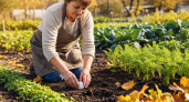 Закопала сырое яйцо в грядку — урожай увеличился на треть, а соседи требуют раскрыть секрет