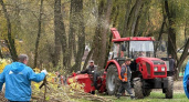 30 сотрудников минприроды с 10 бензопилами очистили парк "Боева дача" от трехмешковой свалки