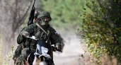 Раненый штурмовик вытащил истощенную овчарку из-под обломков и следил за ней из госпиталя